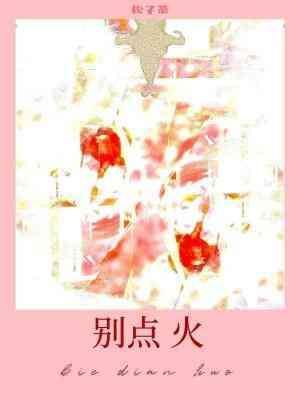别点火封面