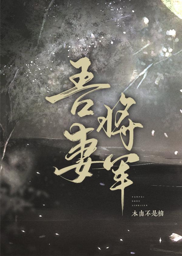 夫君又掉马甲了封面