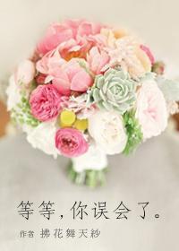 等等！你误会了！封面