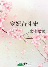 宠妃奋斗史封面