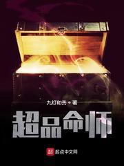 超品命师封面