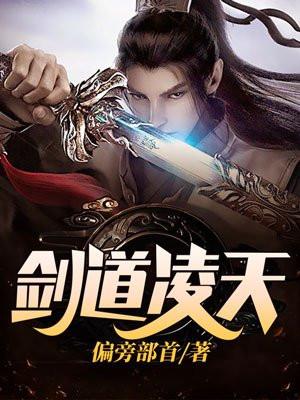 剑道乾坤凌天凡封面