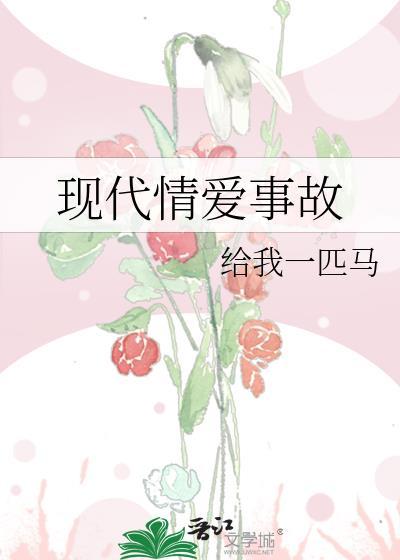 现代情爱事故封面