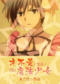 才不是魔法少女封面