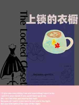 上锁的衣橱封面