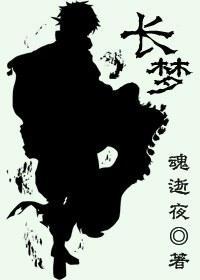 长梦封面