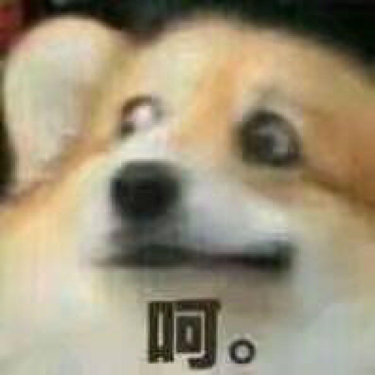 荒野植被封面