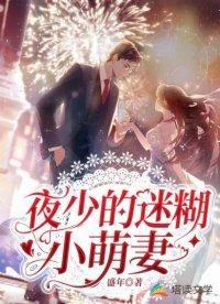 夜少的迷糊小萌妻封面