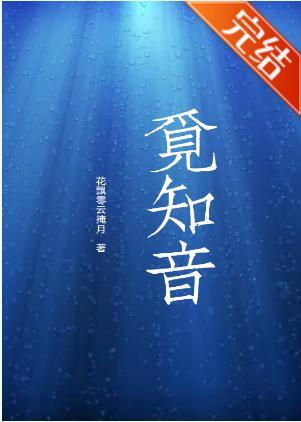 觅知音封面