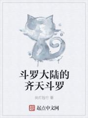 斗罗大陆的齐天斗罗封面