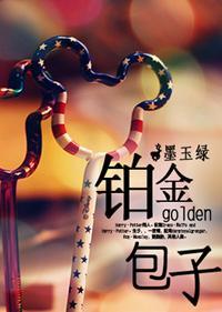 铂金包子封面