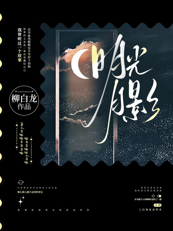 明光月影封面