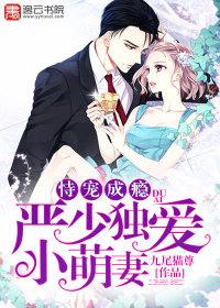 恃宠成瘾，严少独爱小萌妻封面