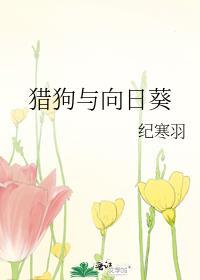 猎狗与向日葵封面