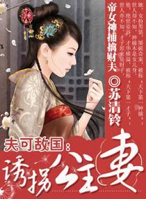 夫可敌国：诱拐公主妻封面