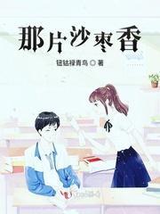 那片沙枣香封面