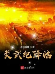 炎武纪降临封面