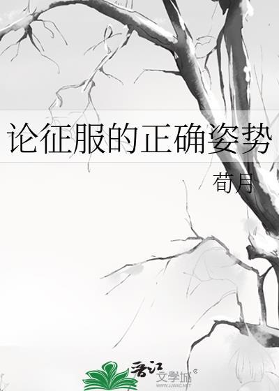 论征服的正确姿势封面