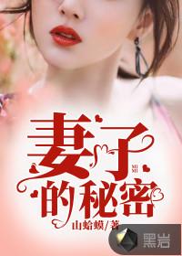 妻子的秘密封面