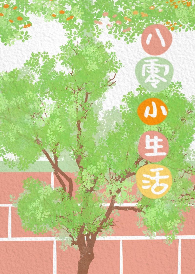 八零小生活封面