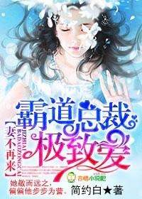 妻不再来，霸道总裁极致爱封面