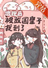 逃跑后被敌国皇子捉到了封面