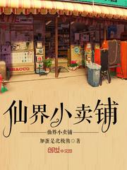 仙界小卖铺封面
