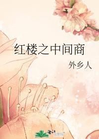 红楼之中间商封面