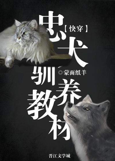 快穿忠犬不忠文案封面