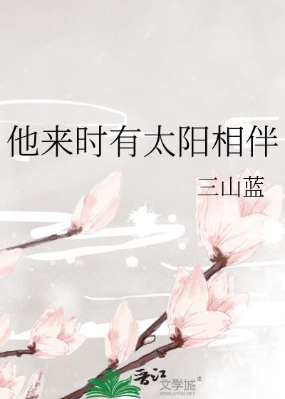 他来时有太阳相伴封面