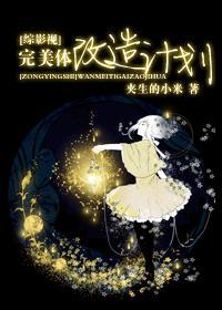 [综影视]完美体改造计划封面
