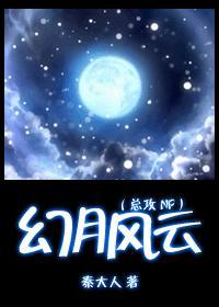幻月风云（总攻）封面