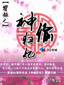 神偷狂妃封面