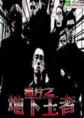 港片之地下王者封面