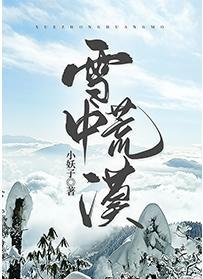 雪中荒漠封面