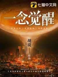 一念觉醒封面