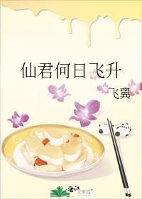 仙君何日飞升封面