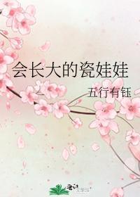 会长大的瓷娃娃封面