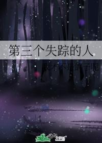 第三个失踪的人封面