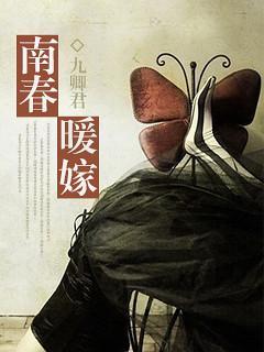 南春暖嫁封面