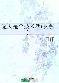 宠夫是个技术活(女尊)封面