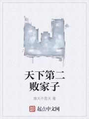 林伟刘念封面