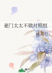 豪门太太不做对照组封面