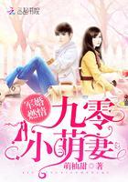军婚燃情：九零小萌妻封面