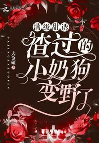 满级甜诱！渣过的小奶狗变野了封面