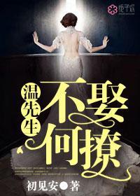 温先生，不娶何撩封面