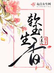 苏阮谢渊封面