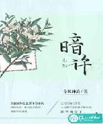 暗许封面