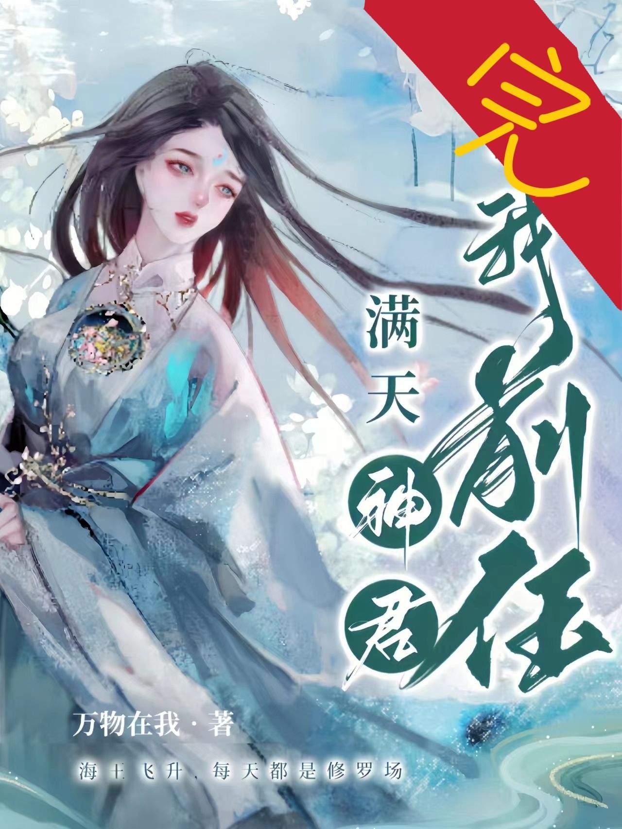 满天神君，皆我前任封面