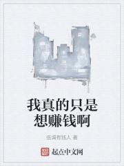 我真的只是想赚钱啊封面
